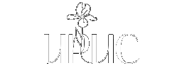 ИРИС